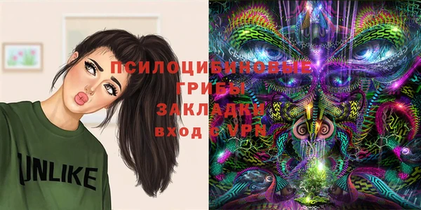 2c-b Верея