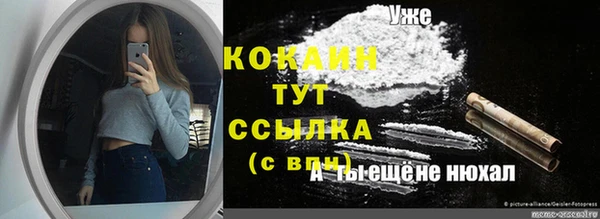 дживик Верхний Тагил