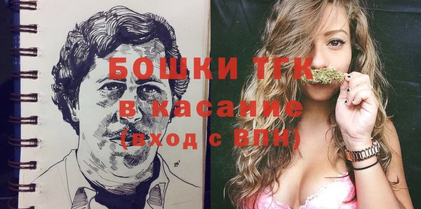 дживик Верхний Тагил