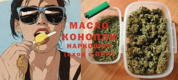дживик Верхний Тагил