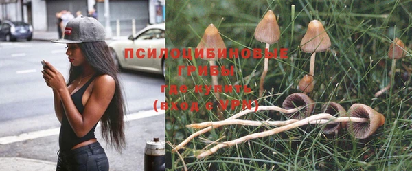 дживик Верхний Тагил