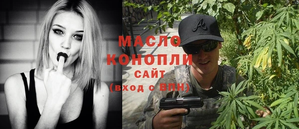 дживик Верхний Тагил