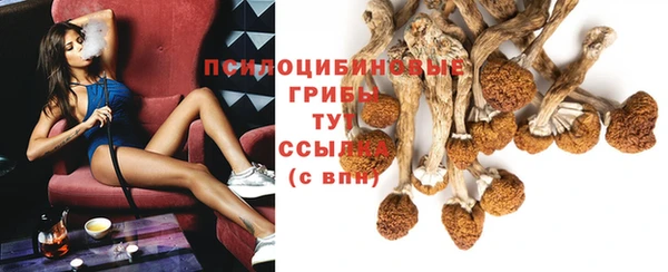 2c-b Верея